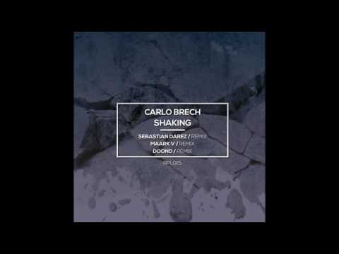 Carlo Brech - Shaking (Sebastian Darez Remix)
