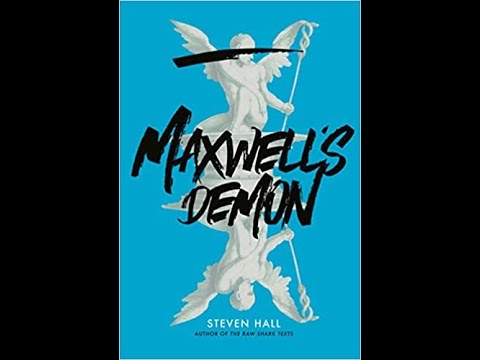 Interview with Steven Hall author of Maxwell's Demon