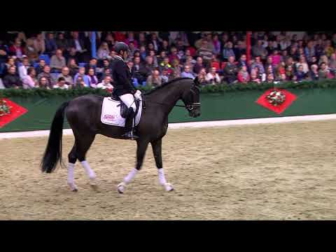 Diamond Pearl (DVD 2019)