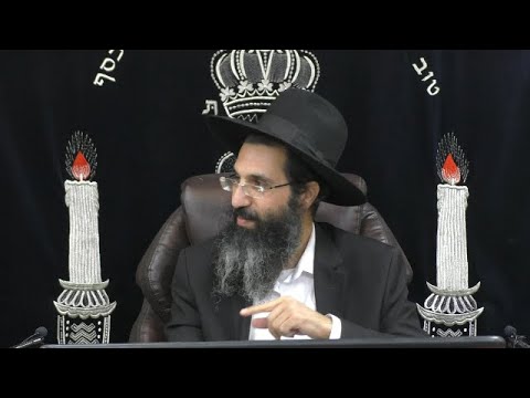 תתן - תאהב 💖 הרב שי עובד | שני - פרשת וישלח - תשפב