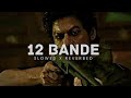 12 Bande Varinder Brar Perfectly Slowed Reverbed