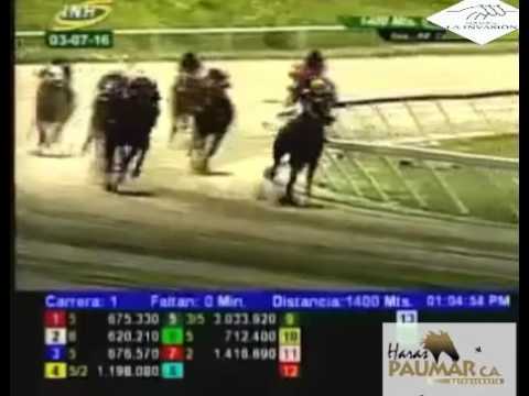 LA RINCONADA 1 CARRERA, DOMINGO 03 DE JULIO DEL 2016