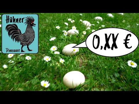 Was kosten mich meine Eier in der privaten Hobby Hühner Haltung?