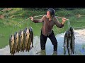 Full Video 30 Days Single Girl Diep Harvests Giant Fish To Sell With Traditional Fishing Skills