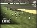 The Cup Final (1961)