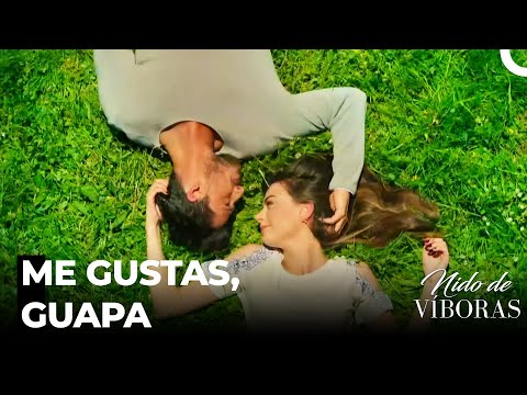 Nagme Y Ejder Se Encuentran - Nido De Víboras Capitulo 1