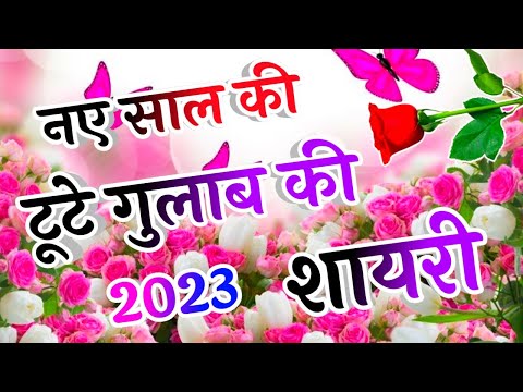 टूटे गुलाब की शायरी 🌹2023 Ki Tute Gulab Ki Shayari🌹Gulab Shayari In Hindi 🌹Indian Shayari