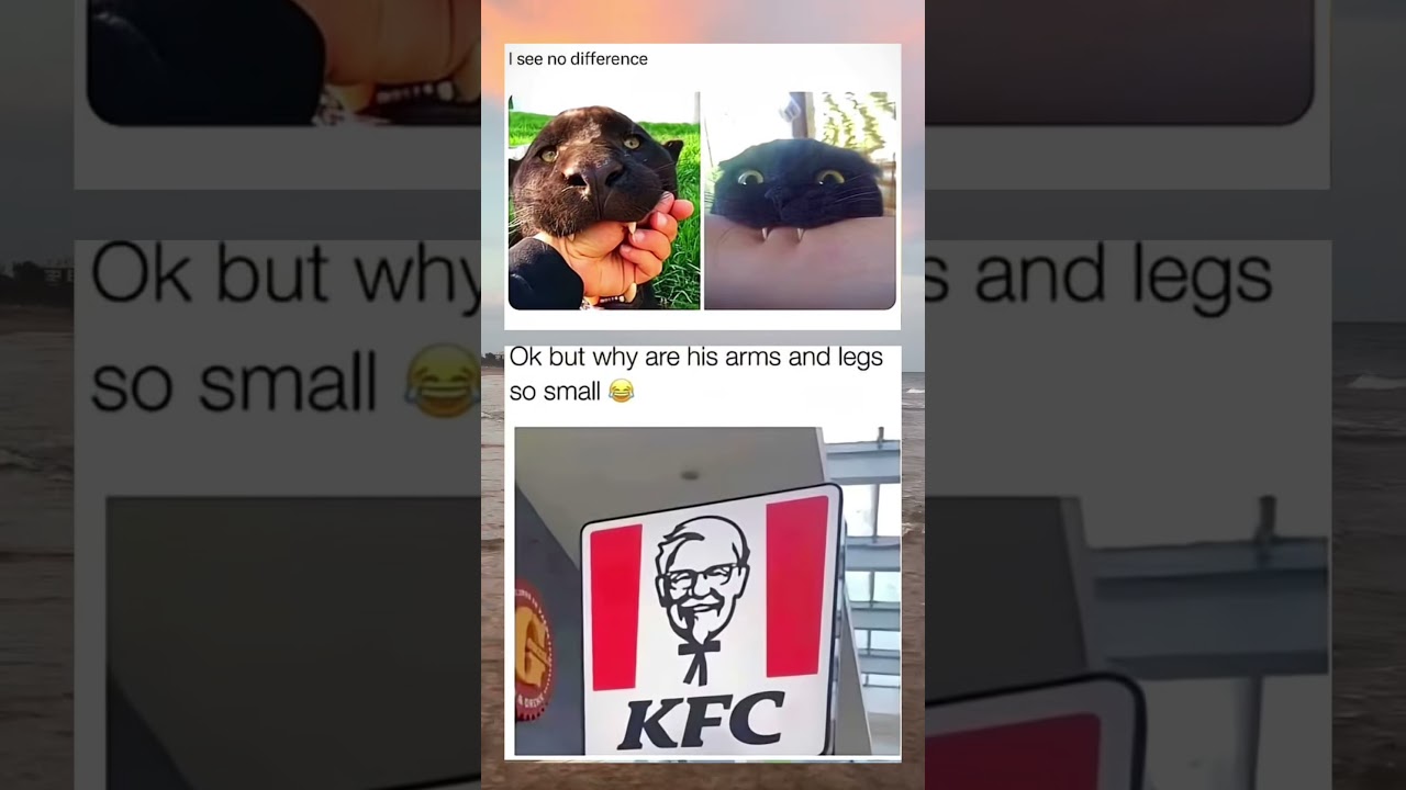 I see no difference #nivetadhingramusic