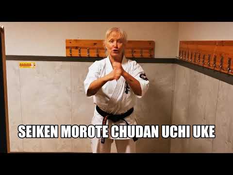 Seiken Morote Chudan Uchi Uke