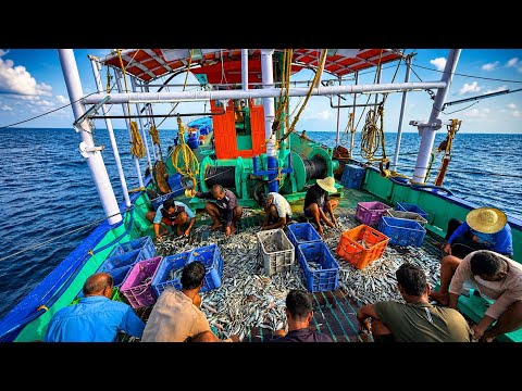 Kerala Trawlnet Fishing | Fresh Catch & Prawns Roast 🦐🐟