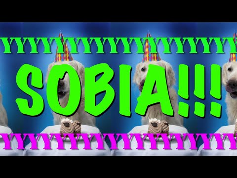 HAPPY BIRTHDAY SOBIA! - EPIC Happy Birthday Song