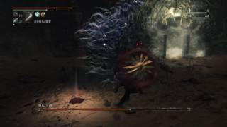 Bloodborne®　車輪で恐ろしい獣