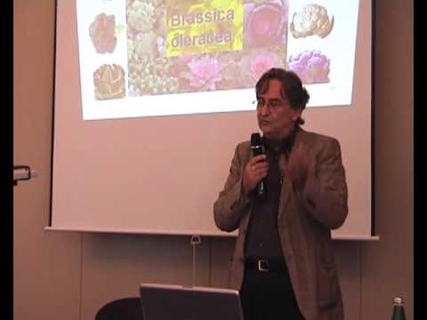 Gentechnologie: ein Eingriff in die Evolution? (2/6)