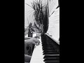 Canon In D Pachelbel Laura
