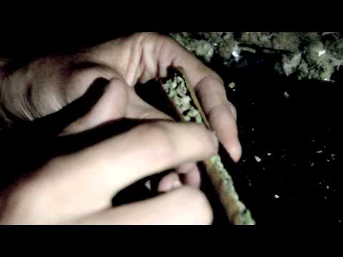 Mula Gonzalez X Monster X Rasta [OFFICIAL VIDEO] - All I Know #CARTELMOB CARTEL MOB