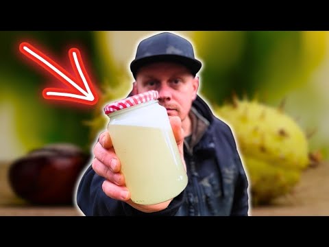 Kastanienseife 🌰 Kennst du schon die Naturseife ❓