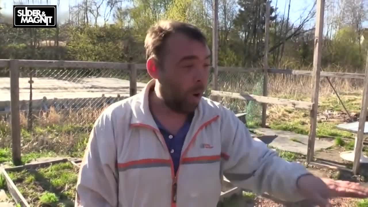 ��������� ����� �� ����� - ��� ������ ����