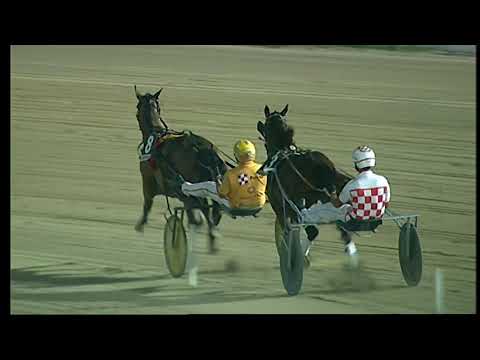 Napoli Trotto 20/08/2021 - 6ª corsa