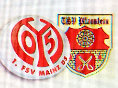 FSV Mainz 05 U11 vs. TSV Pflaumheim U11 9:0