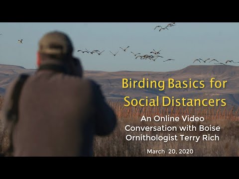 Birding Basics for Social Distancers: A Conversation With Boise Ornithologist Terry Rich