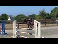 JUMENT SELLE FRANCAIS 3 ANS DEBOURREE