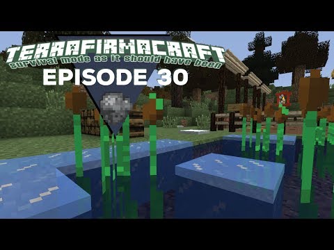 TerrafirmaCraft |S2E30| - Winter Is Coming