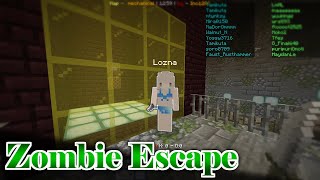 【Minecraft】逃げ専門が少なすぎて事故【KZE#10】【実況】