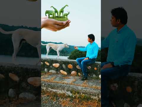 sukhwinder Singh Star Health insurance #sukhwinder World Animal Day