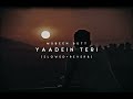 Yaadein Teri LoFi Slowed Reverb Mubeen Butt Viral Song