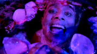 Fiesta Congo Music Video