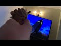 Scrat S DVD Reviews Episode 10 Peter Pan