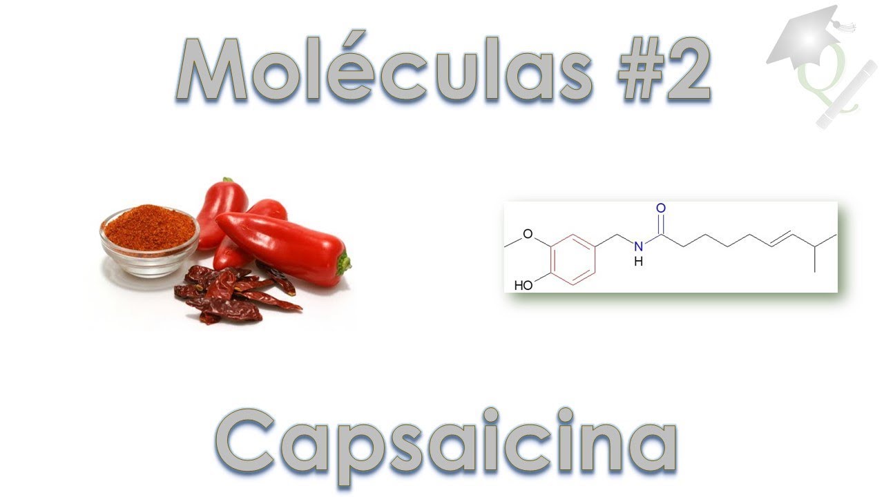 Uma Molécula por Dia #2 Capsaicina