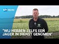 Ganzenoverlast: Boer Niels heeft jaarlijks tienduizenden euro's slaschade