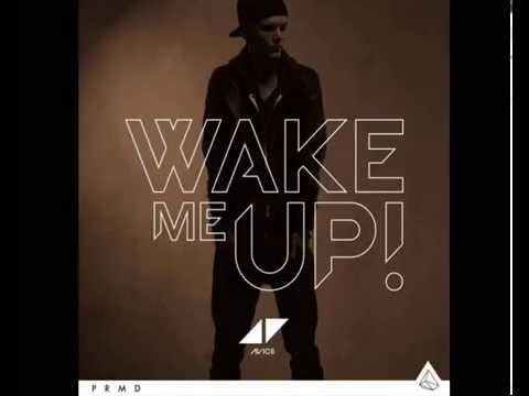 Avicii vs Steve Angello   Wake Me Knas (Galian Mashup)