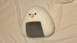 今後の活動について🍙