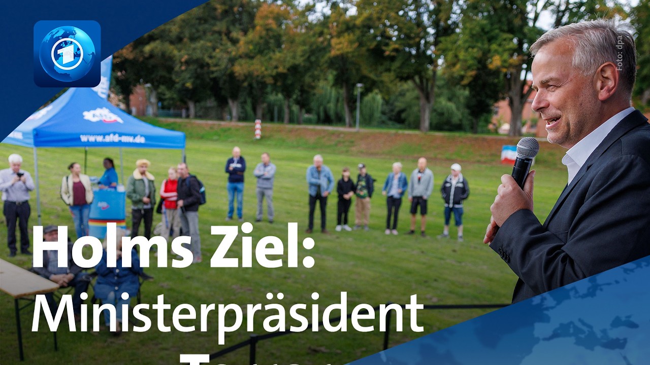 AfD in Mecklenburg-Vorpommern: Was Spitzenkandidaten Holm und Schult wollen