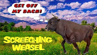 Get Off My Back - Screeching Weasel, bass cover