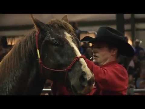 2011 Road to the Horse Overview