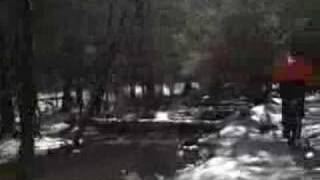 Malkmus & the Jicks Live; Witch Mountain Bridge, Animal Midnight