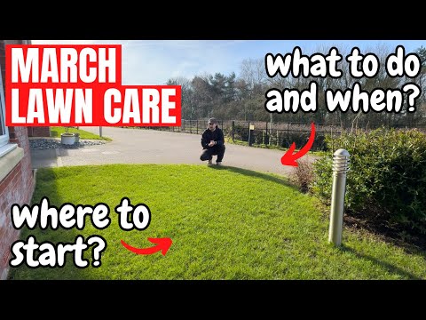 How to take care of your LAWN this MARCH - Simple Lawn Care