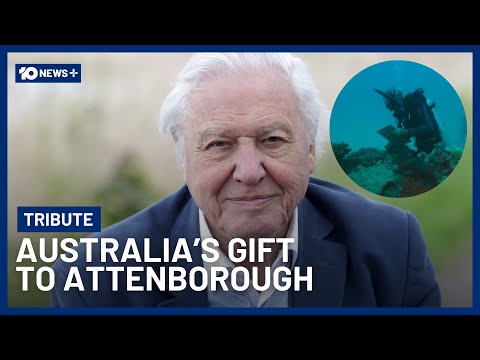 Australia's Special Gift For Sir David Attenborough's 100th Birthday | 10 News+