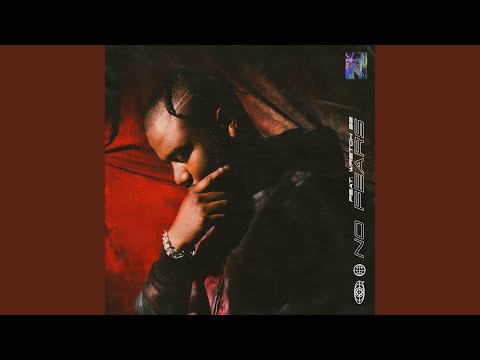 No Fears (feat. Wretch 32)