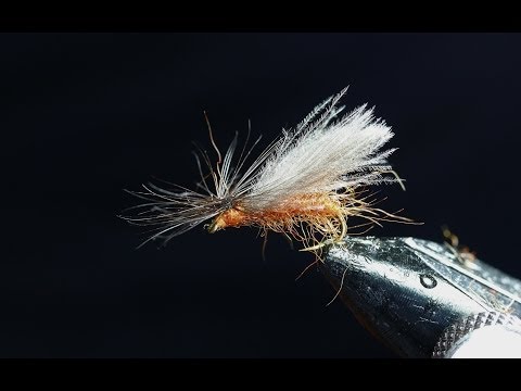 Sumaripinturi - February red stonefly