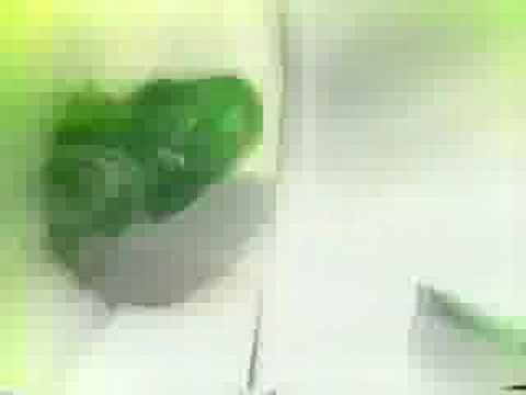 Juventude - Campeão Gaúcho de 1998