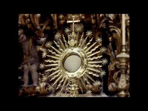 Panis Angelicus (Cesar Franck) - Clarinet - Louis Nesci