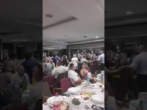 hamza sokolović  & bend uživo