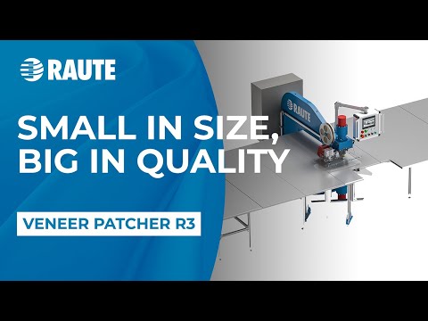 Veneer Patcher R3 - Small in size, big in capacity and quality