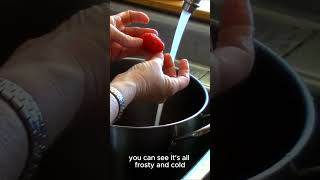 Easiest Way to Peel a Tomato for Home Canning #shorts #short #canning #tomato #tomatoes
