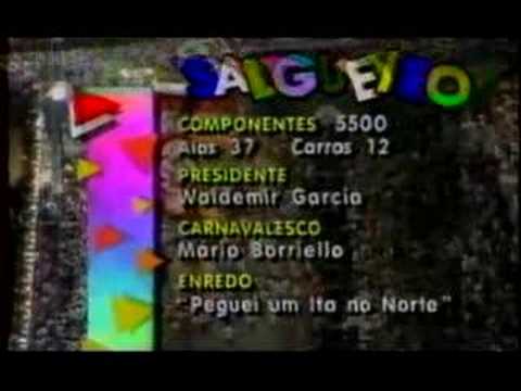 SALGUEIRO 1993
