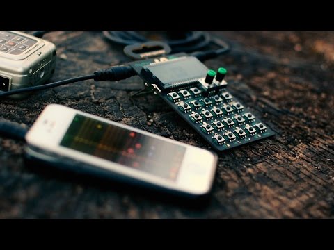 Live Electro Jam In The Wild Feat. PO-12 Rhythm + iPhone